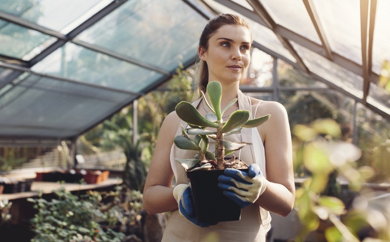 A woman working in sustainability holds a green plant in a greenhouse